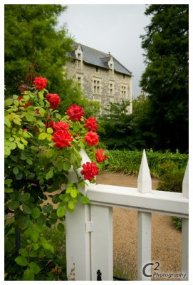 Chateau Montreuil-Bellay_D3B7705.jpg