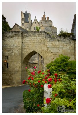 Chateau Montreuil-Bellay_D3B7710.jpg