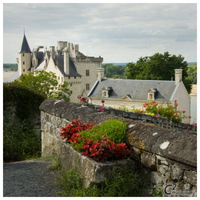 Chateau Montsoreau_D3B7382.jpg