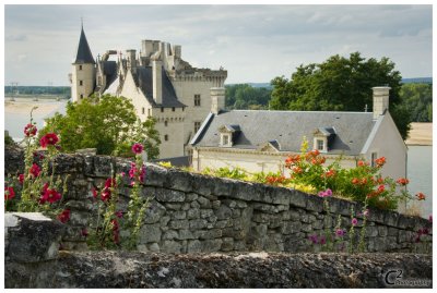 Chateau Montsoreau_D3B7385.jpg