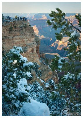 Grand Canyon South Rim_D3B0053.jpg