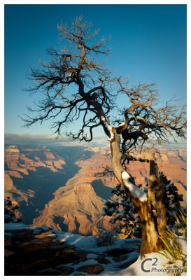 Grand Canyon South Rim_D3B0063.jpg