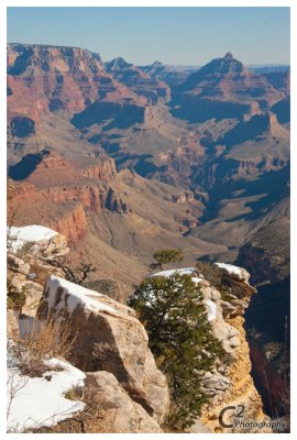 Grand Canyon South Rim_D3B0145.jpg