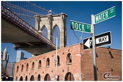 018-Brooklyn Bridge CityRover Walk with Max_D3B1111.jpg