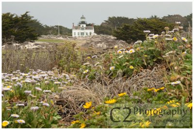 304-Point Pinos Lighthome - Monterey_DSC7141.jpg