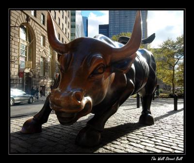 Bull Market on Wall Street