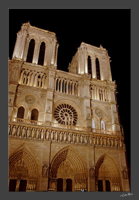 Notre Dame de Paris by night - 2890