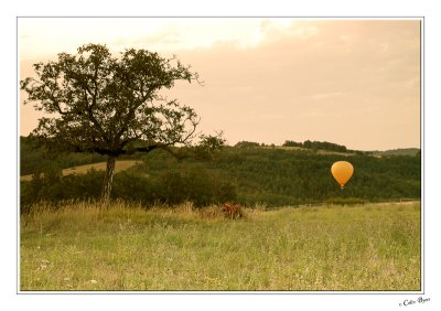Balloon - 3414.jpg