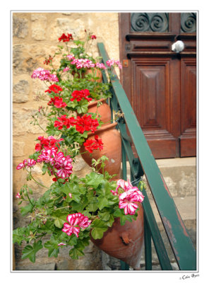 Flowerpots (Domme) - 3049.jpg