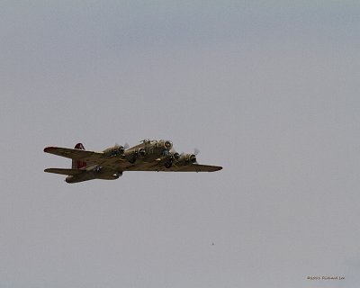 _MG_0133 B17.jpg