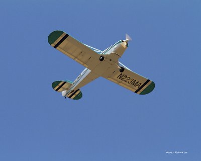_MG_0186 brace.jpg