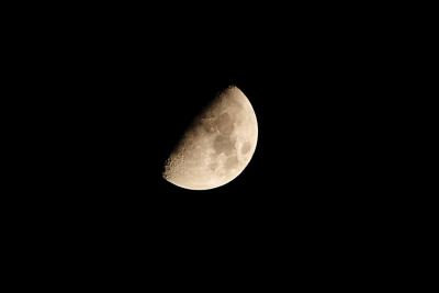 IMG_6404a.jpg
