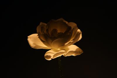 IMG_6425a.jpg
