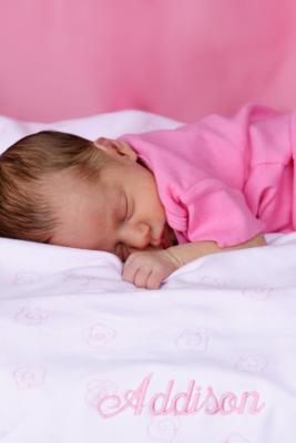 IMG_3380a.JPG