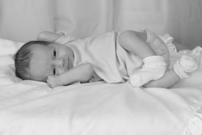 IMG_3388b.JPG