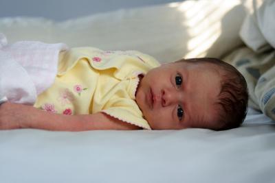 IMG_3590a.JPG