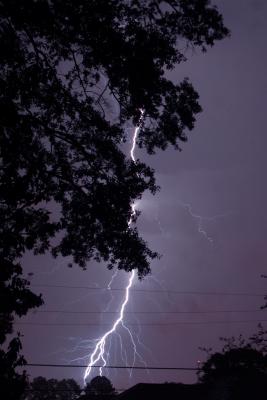 IMG_3767a.JPG