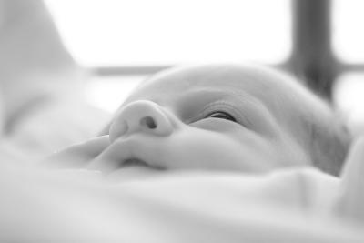 IMG_3791b.JPG