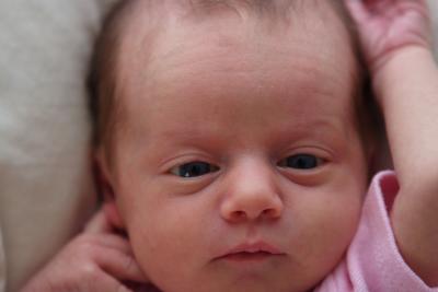 IMG_3797aa.JPG