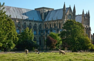 Beverley Minster IMG_3631.jpg