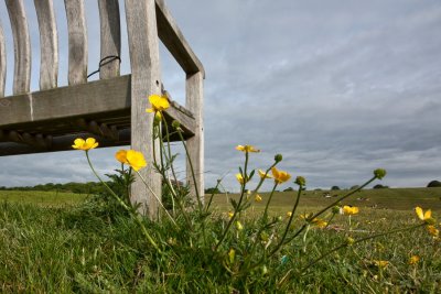 Beverley Westwood IMG_3057.jpg