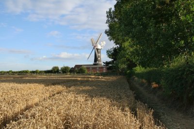 Skidby Mill 8