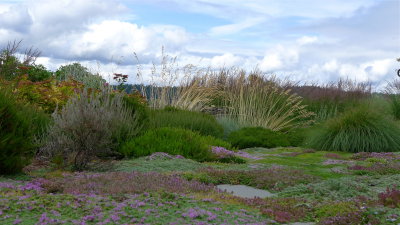 P1000441.JPG