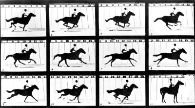 1878MuybridgeHorse.jpg