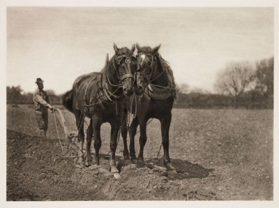 1880sPHEmersonhorses.jpg