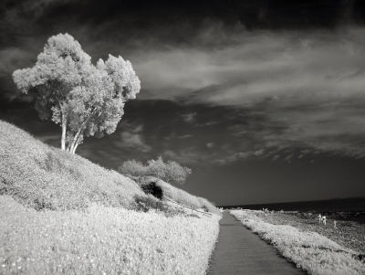 Infrared California