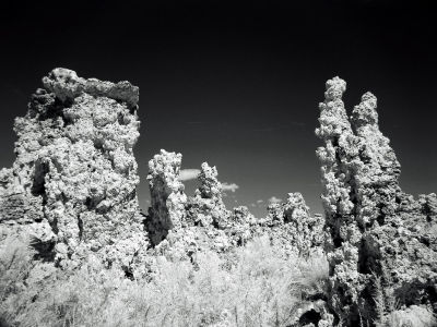 DSC03965mono.jpg