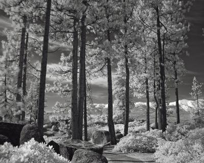 DSC03988tahoe.jpg