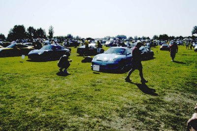 par06049.jpg