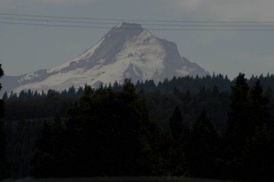 Mt Hood