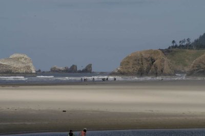 par06114.jpg