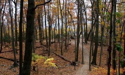 IMG_0852_01.jpg