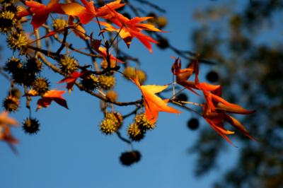 IMG_1071_01.jpg