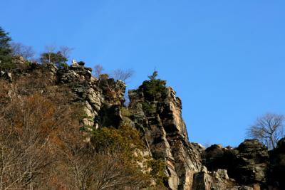 IMG_1036_01.jpg
