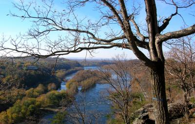 DSCN3017_01.jpg