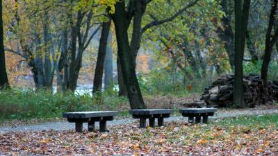 IMG_1075_02.jpg