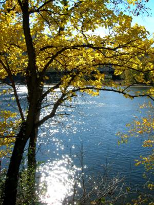 DSCN2986_01.jpg