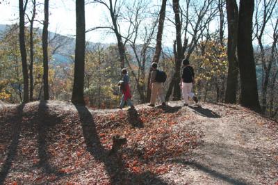 IMG_0953_01.jpg