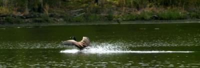 IMG_3773_01.jpg