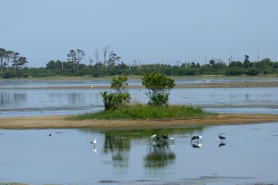 IMG_4842_01.jpg