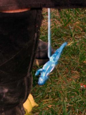 Uhhhhh, Chammy, what is that lizard tied to. Never mind.