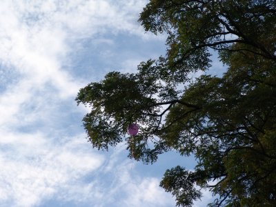8-5-2006 3-57-35 PM.JPG