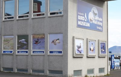 BIRD MUSEUM.
