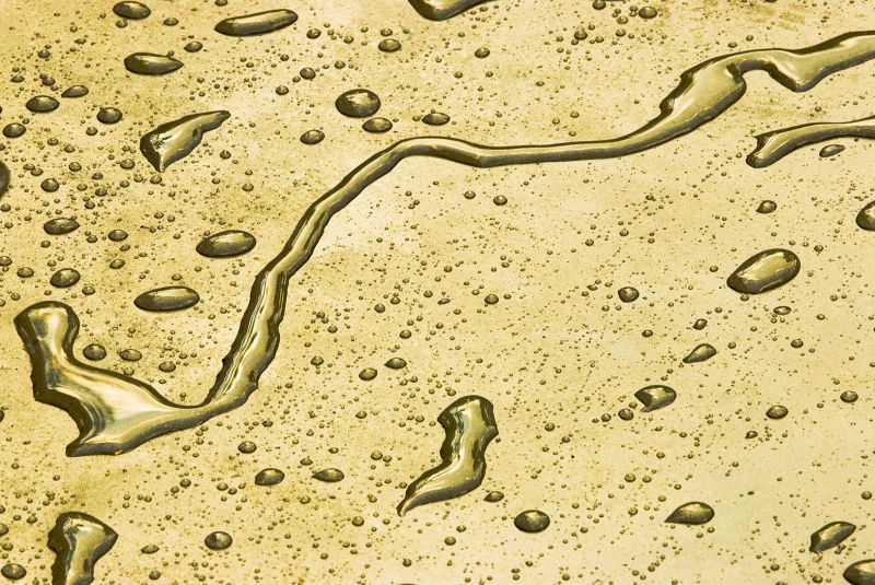 060620-water-200mm-010.jpg