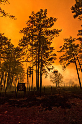 110324-172.jpg  Controlled Burn In Georgia