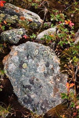 110909-474.jpg